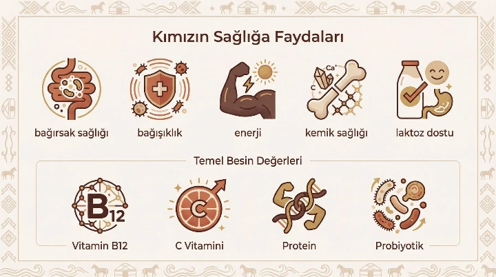 Kımızın sağlığa faydaları infografiği — bağırsak sağlığı, bağışıklık, enerji, kemik sağlığı, laktoz dostu özellikleri ve temel besin değerleri