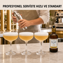 Nano Foamer Profesyonel Servis